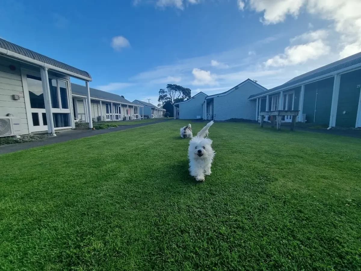 Motel courtyard at sunset — Hawera South Taranaki